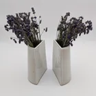 Bookend Vase Pair 1, photo 1